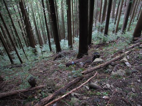 20181016hike (230)